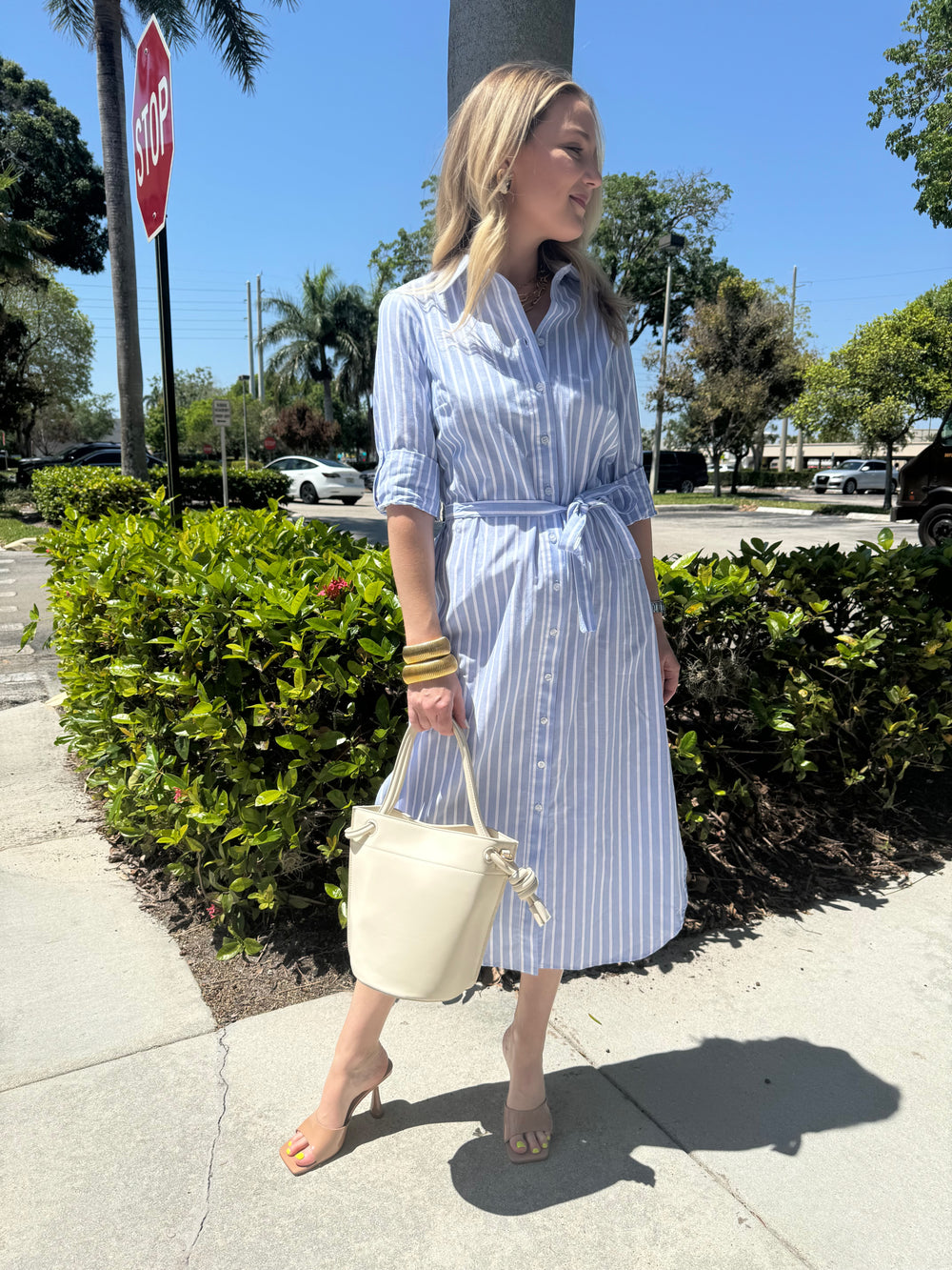 Finley Alex Dobby Stripe Shirt Dress - White/Blue