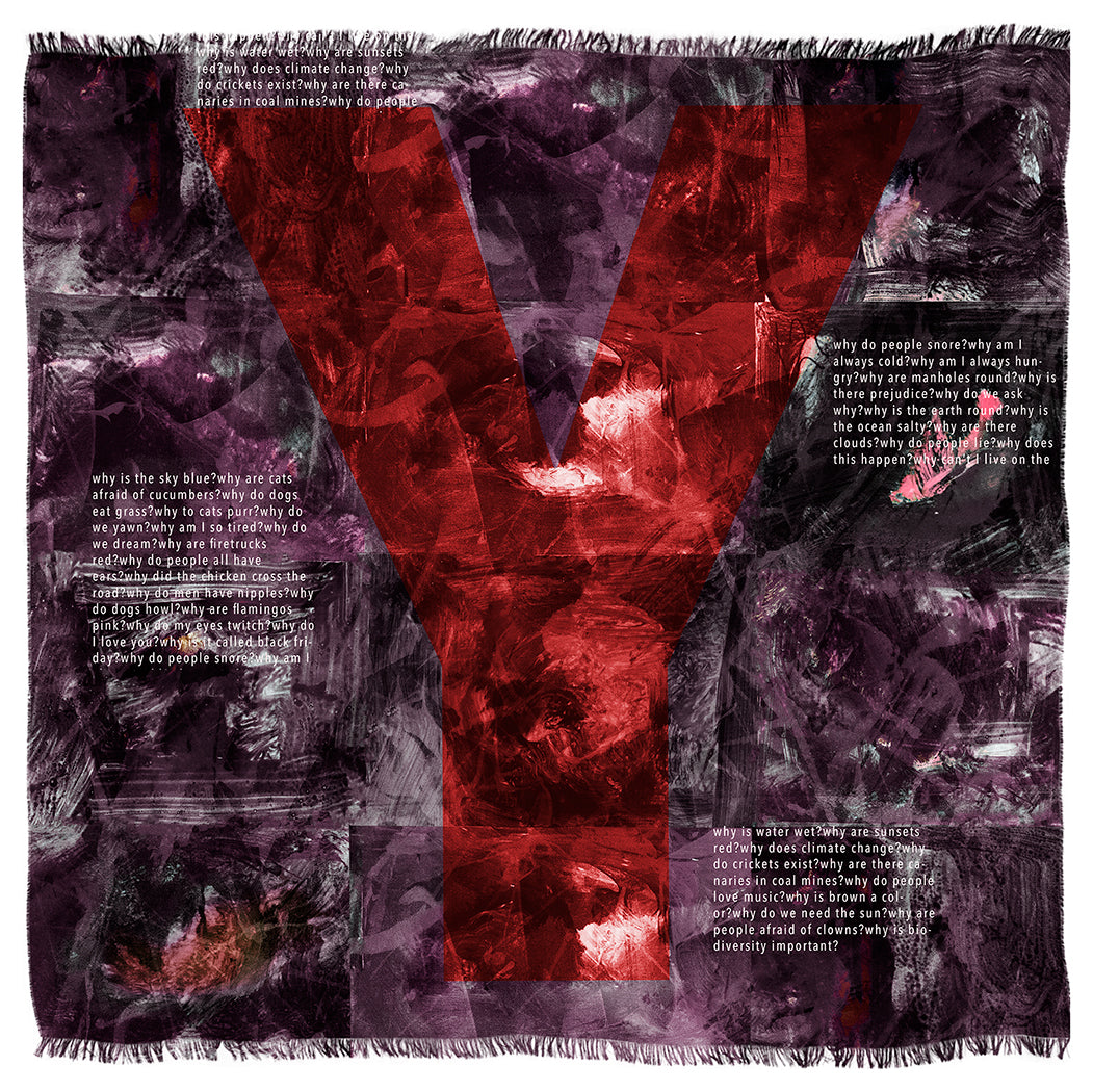 Suzi Roher Why Scarf available at Barbara Katz