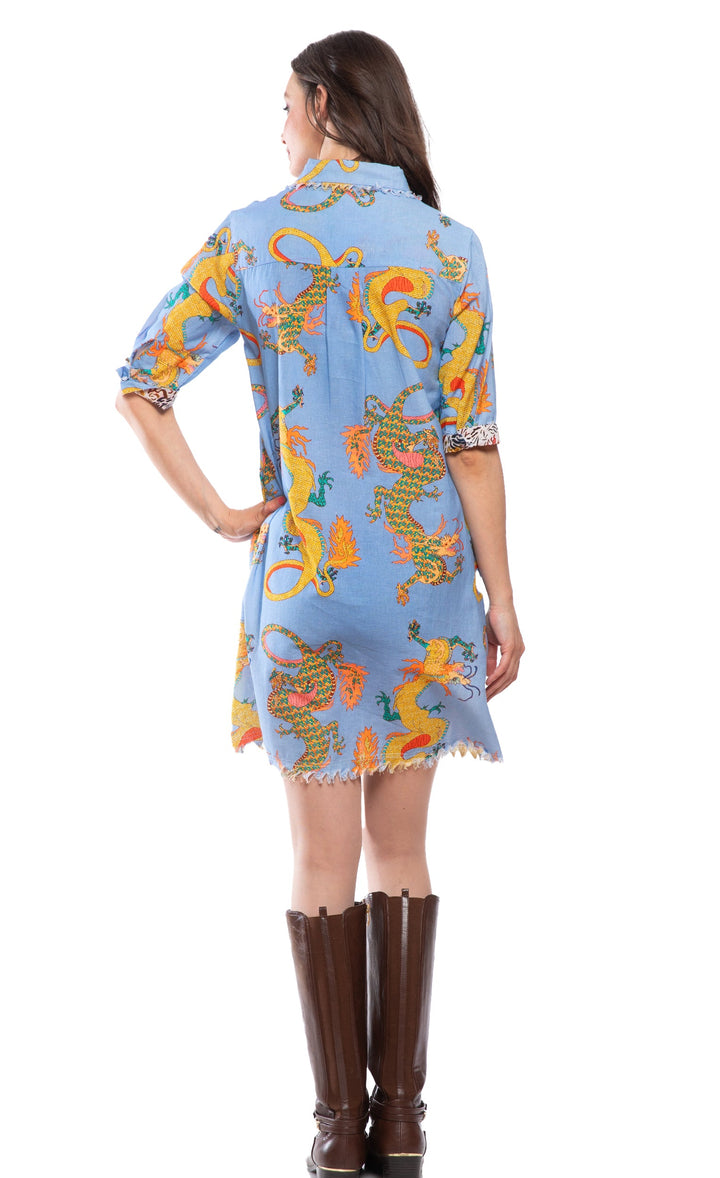 Dizzy-Lizzie Chatham Dress - Blue Dragon Print available at Barbara Katz