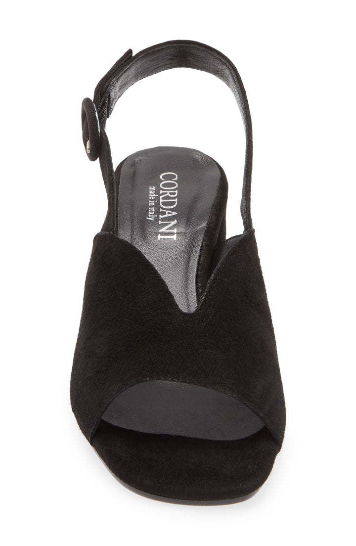 Cordani Pollette Sandal in Black Suede available at Barbara Katz