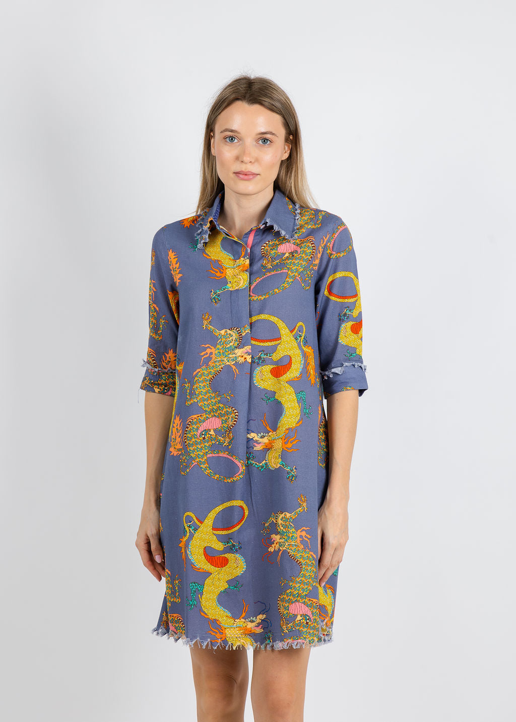 Dizzy-Lizzie Chatham Dress in Blue Dragons available at Barbara Katz