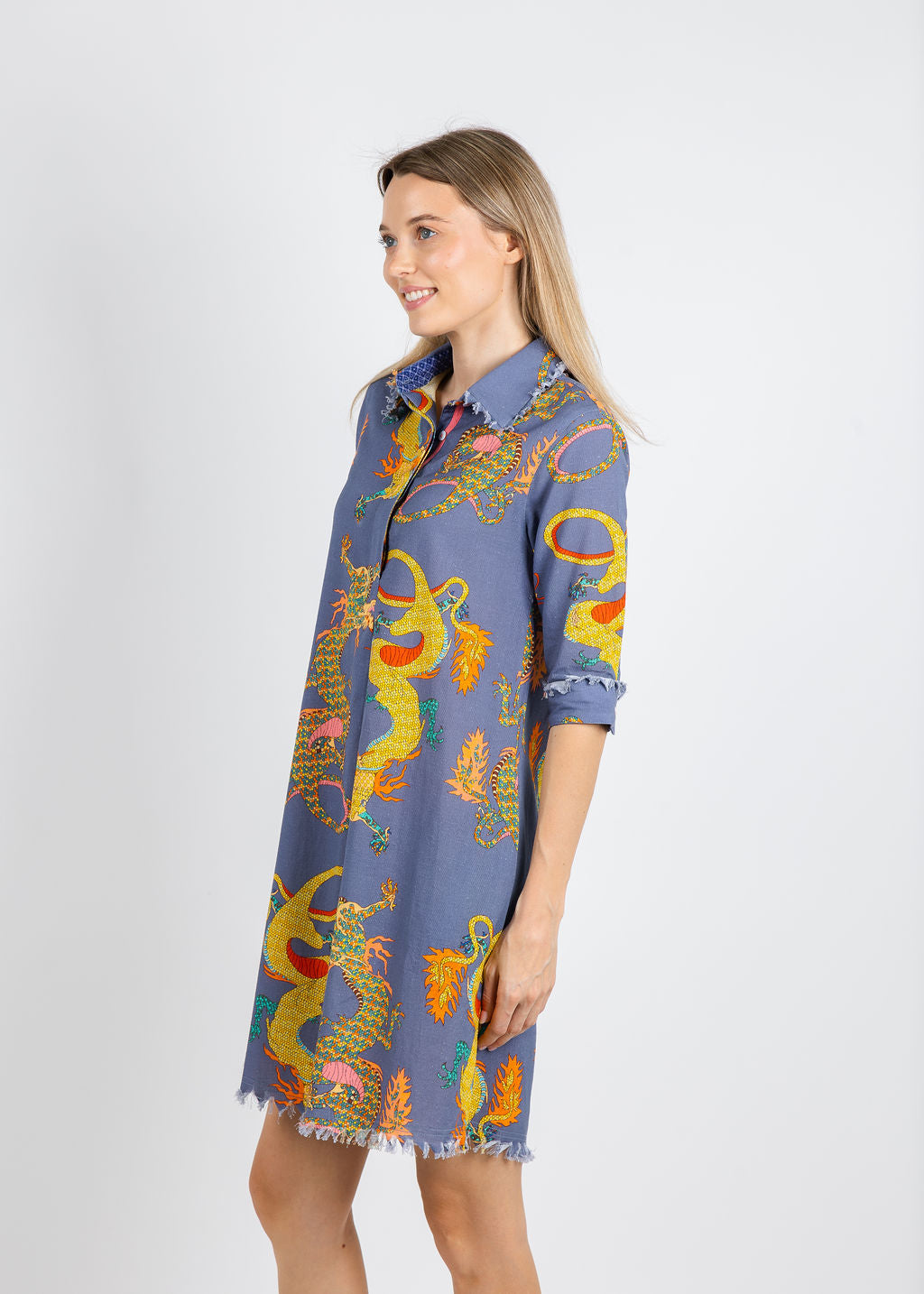 Dizzy-Lizzie Chatham Dress in Blue Dragons available at Barbara Katz