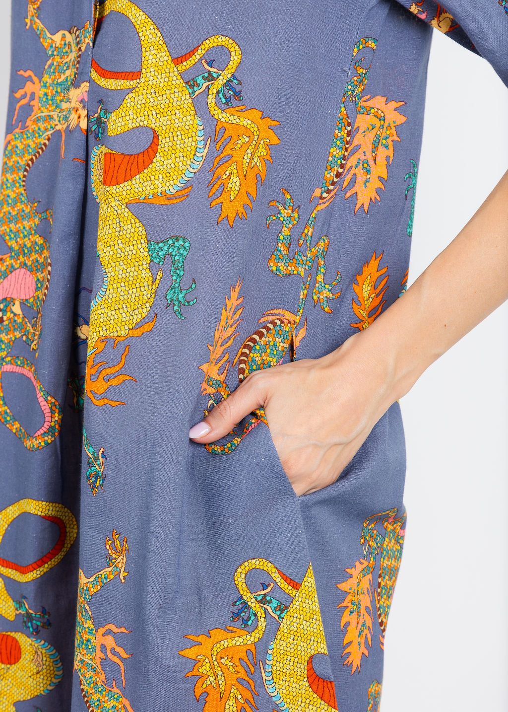 Dizzy-Lizzie Chatham Dress in Blue Dragons available at Barbara Katz