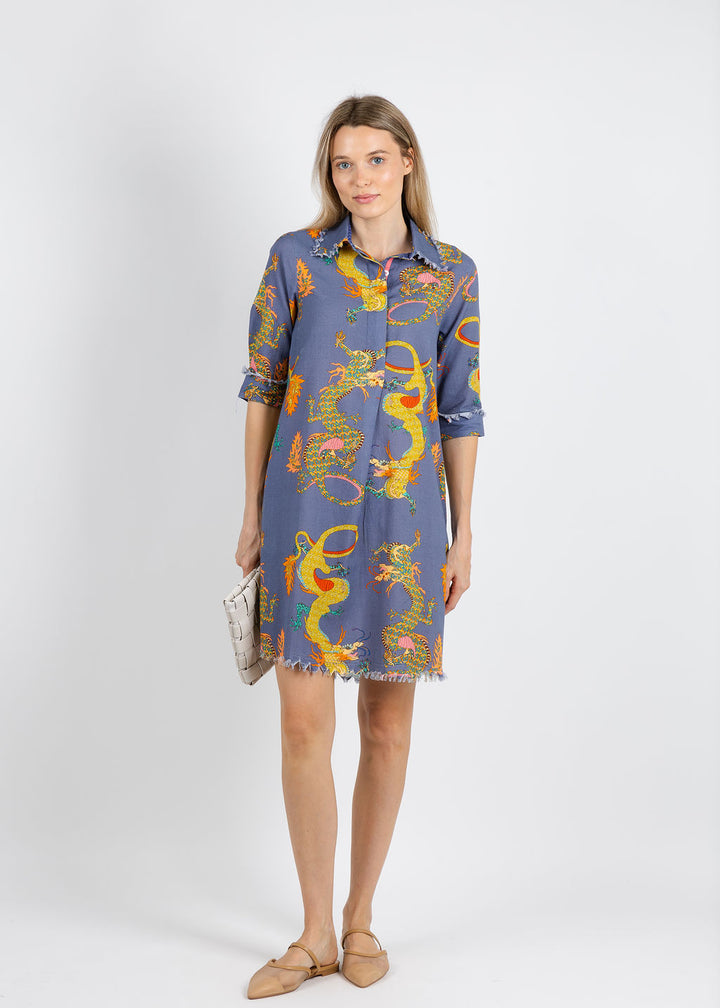 Dizzy-Lizzie Chatham Dress in Blue Dragons available at Barbara Katz