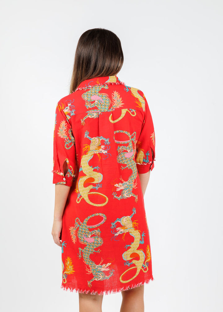 Dizzy-Lizzie Chatham Dress in Red Dragon Print available at Barbara Katz 