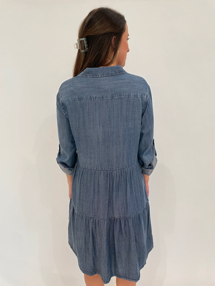 BK Bree Denim Dress in Calva available at Barbara Katz