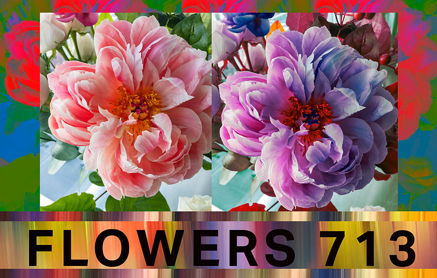 Suzi Roher Lily, Flowers 713 Scarf available at Barbara Katz