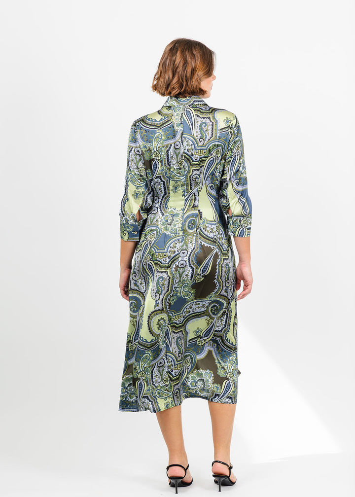 Hinson Wu Martina 3/4 Sleeve Opulent Paisley Dress in Olive available at Barbara Katz