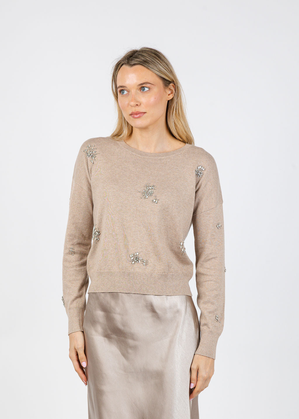 J Society Ariana Brooch Crew Sweater in Cappuccino available at Barbara Katz