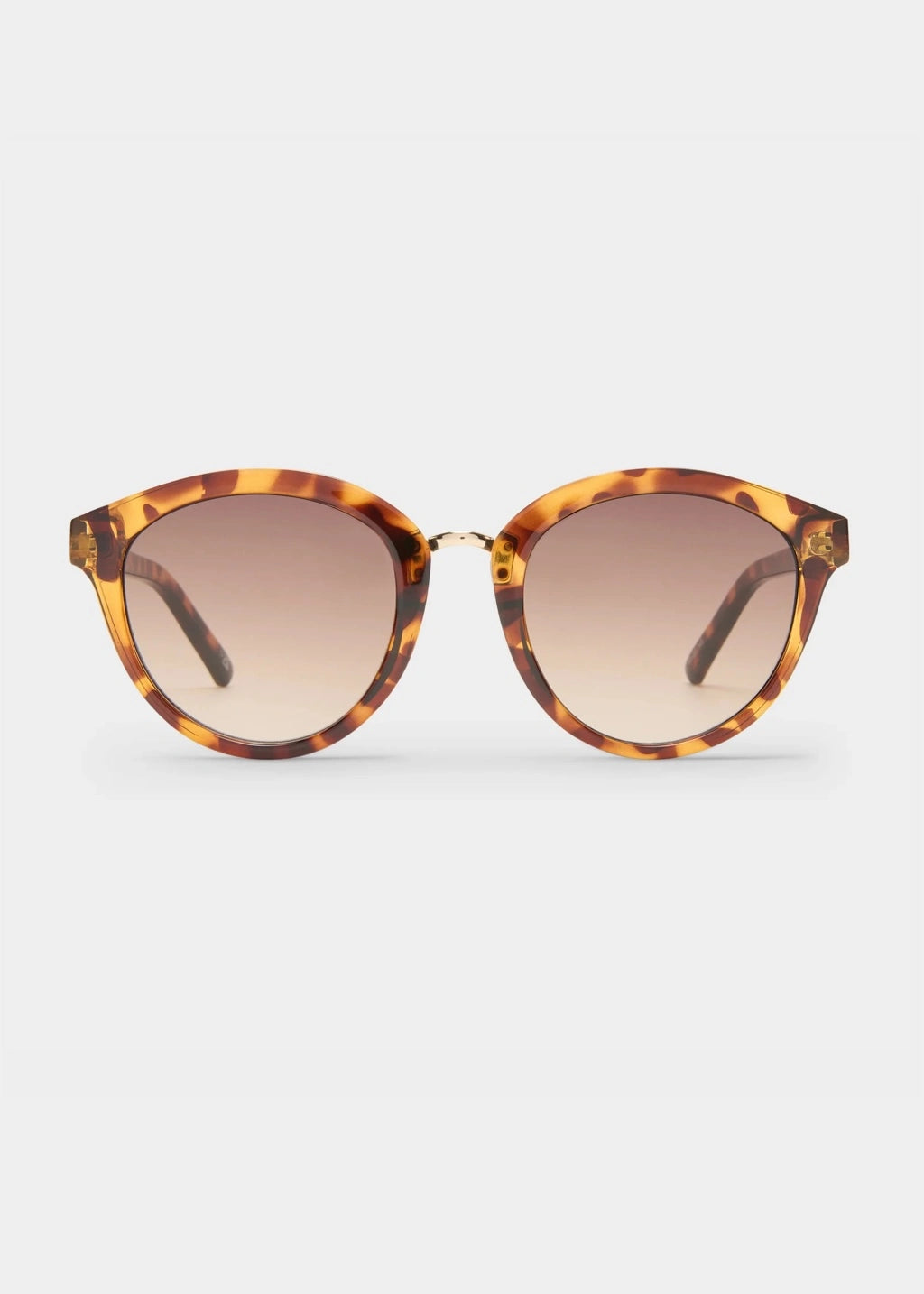 Le Specs Influx Sunglasses in Cola Tort LSP2552128 available at Barbara Katz