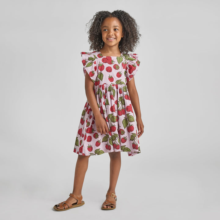 Pink Chicken Girls Elsie Dress - Lavender Raspberries available at Barbara Katz