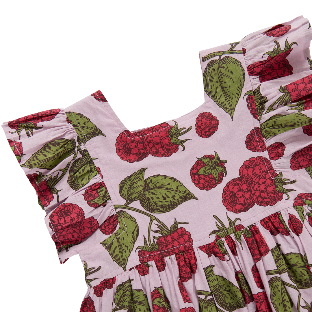 Pink Chicken Girls Elsie Dress - Lavender Raspberries available at Barbara Katz