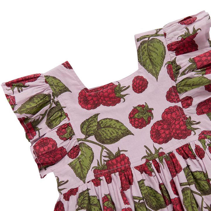 Pink Chicken Girls Elsie Dress - Lavender Raspberries available at Barbara Katz