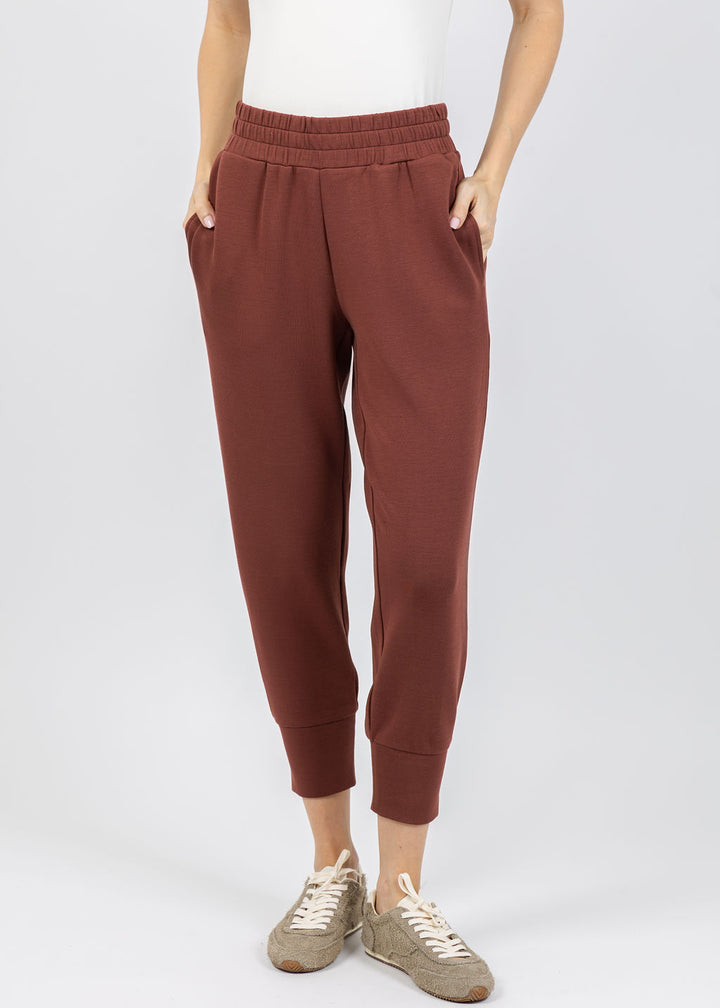 Varley The Slim Cuff Pants 25" in Cinnamon available at Barbara Katz