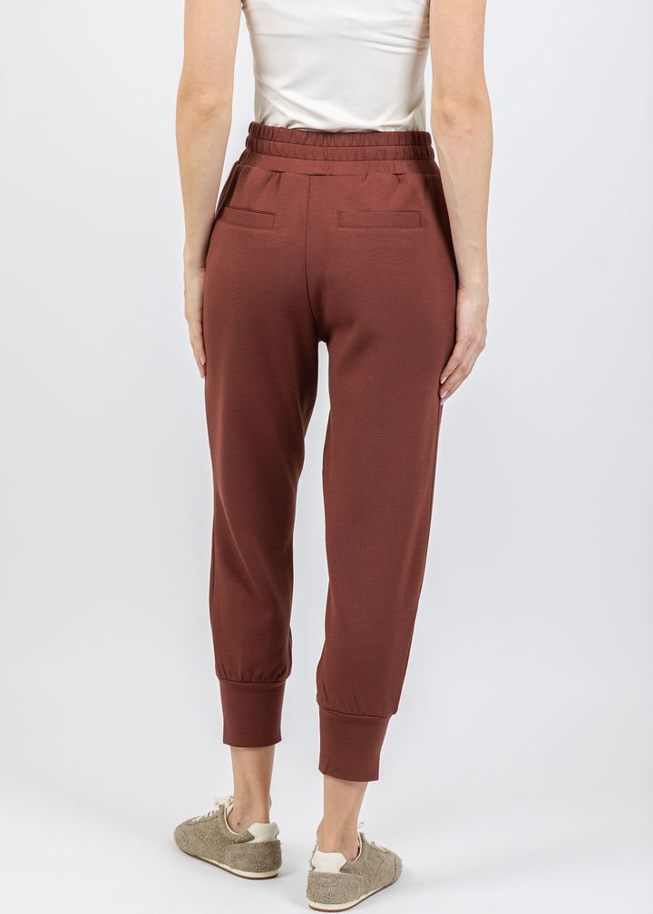 Varley The Slim Cuff Pants 25" in Cinnamon available at Barbara Katz
