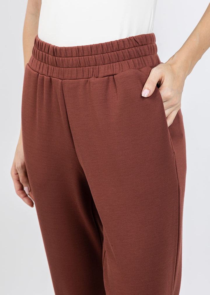 Varley The Slim Cuff Pants 25" in Cinnamon available at Barbara Katz