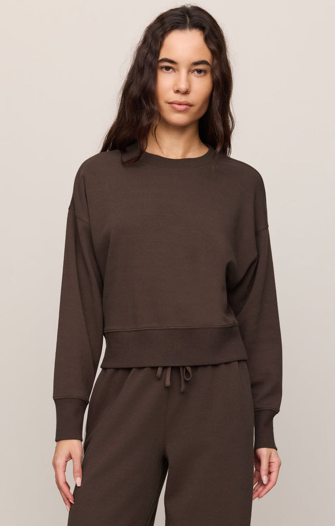 BOTT スウェット　S Z Supply Comeback Sweatshirt - Dark Chocolate – Barbara Katz