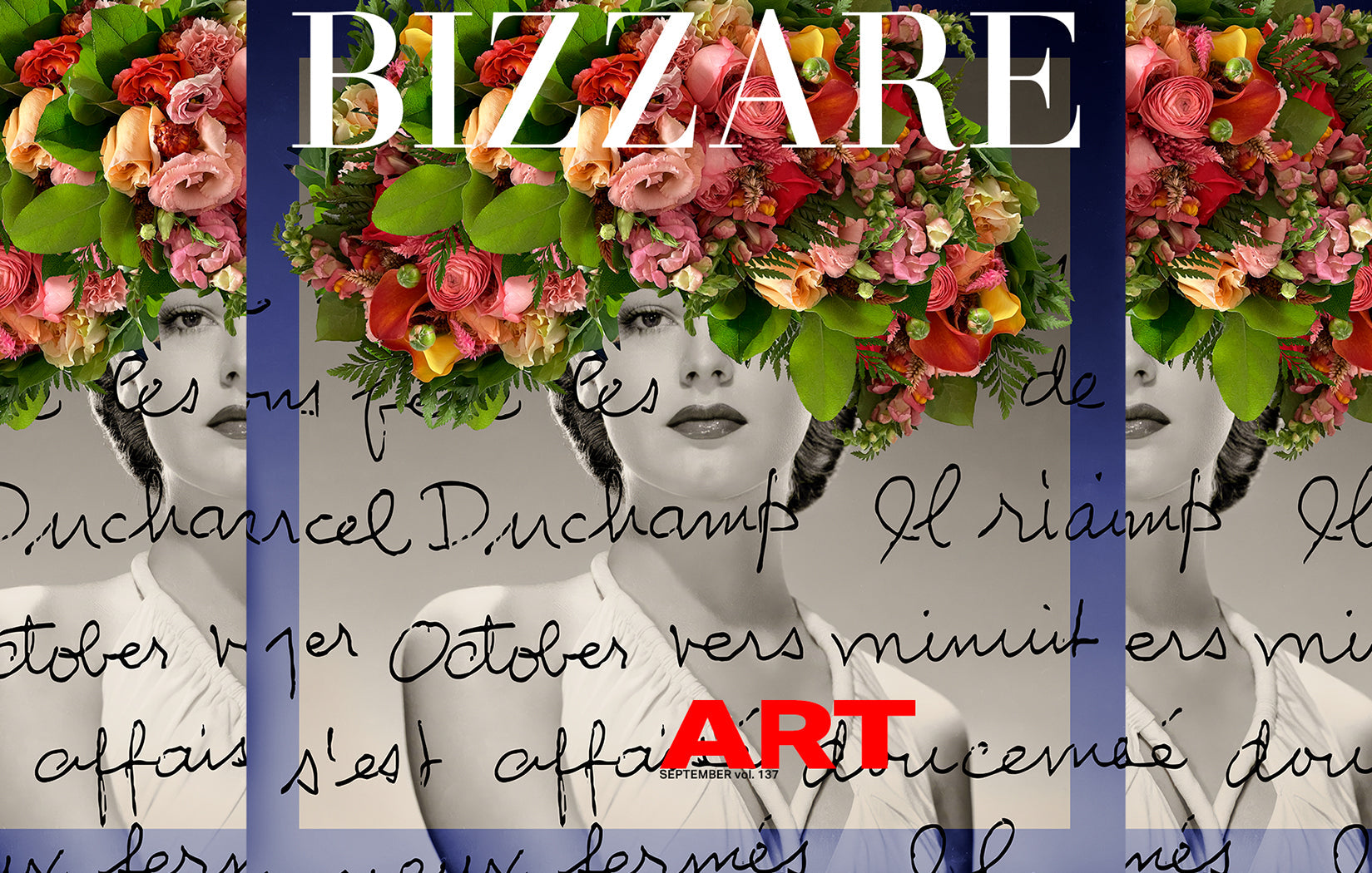 Suzi Roher banner