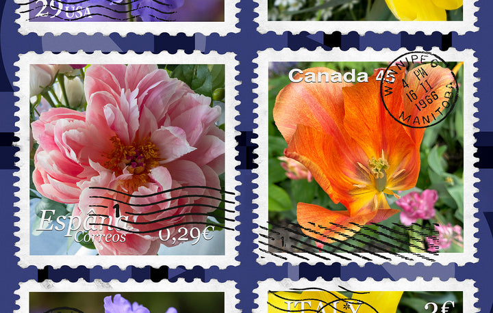 Suzi Roher Lily, Flower Stamps Scarf available at Barbara Katz