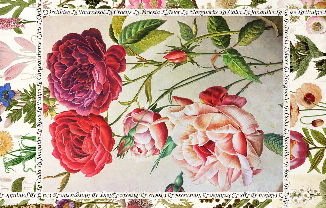 Suzi Roher Lily, Le Jardin Scarf available at Barbara Katz