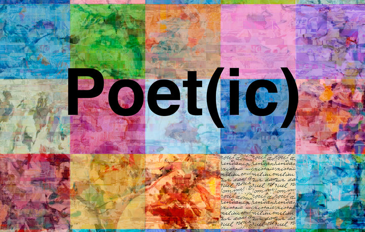 Suzi Roher Lily, Poetic Scarf available at Barbara Katz